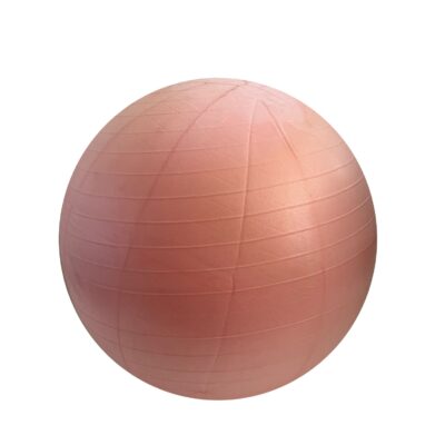 Fit ball 55 cm